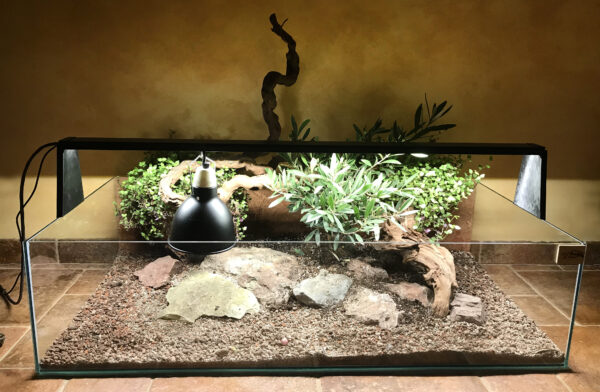 zelvarium_piskovane