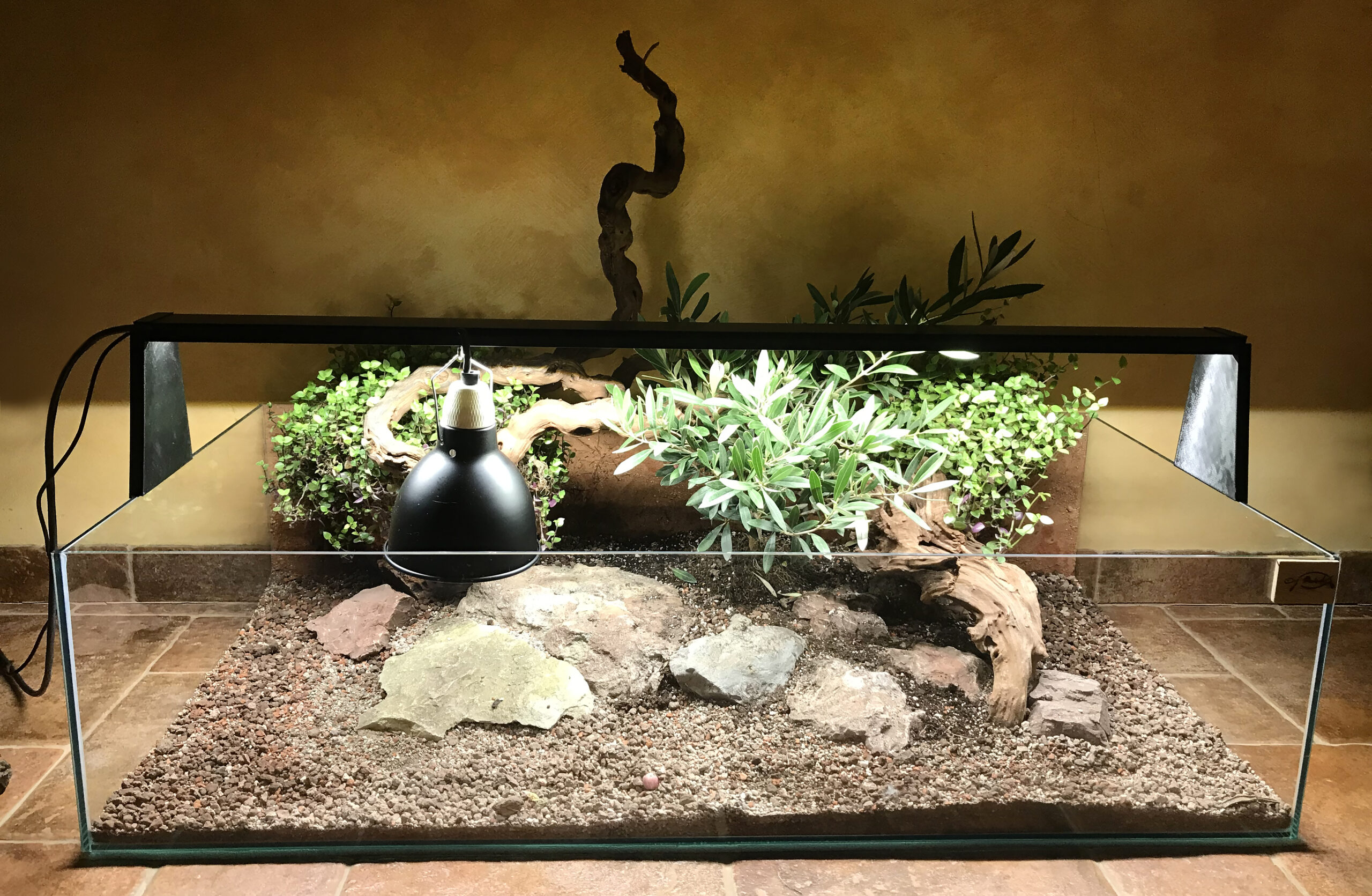 zelvarium_piskovane