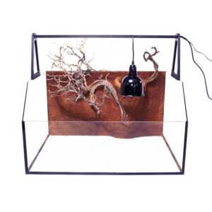 Želvárium s 3D pískovaným pozadím