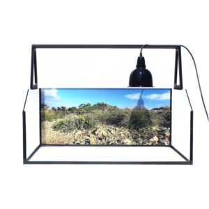 Želvárium s fototapetou