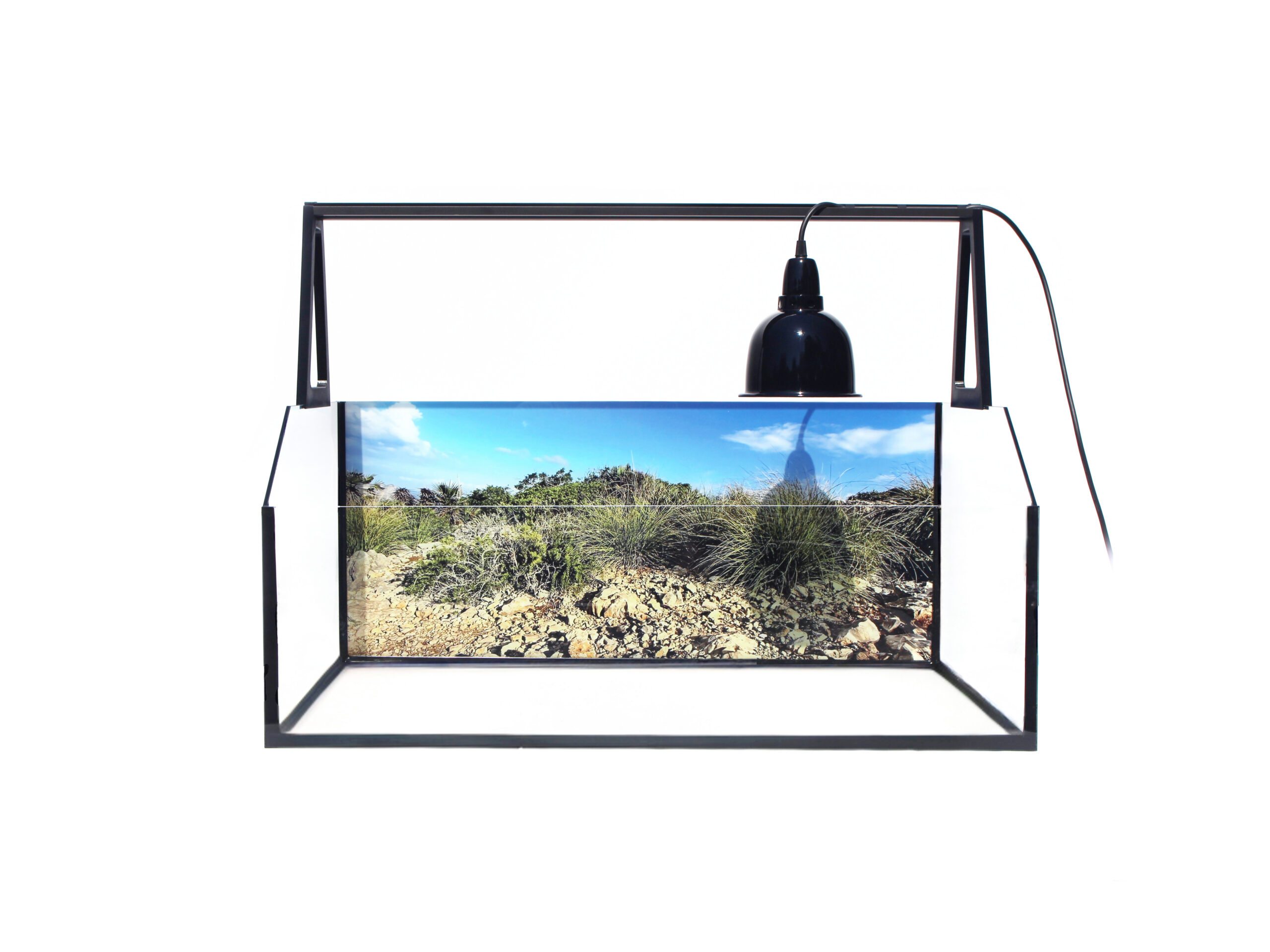 Želvárium s fototapetou