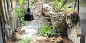 ReptiLUM – opravdové denní svícení